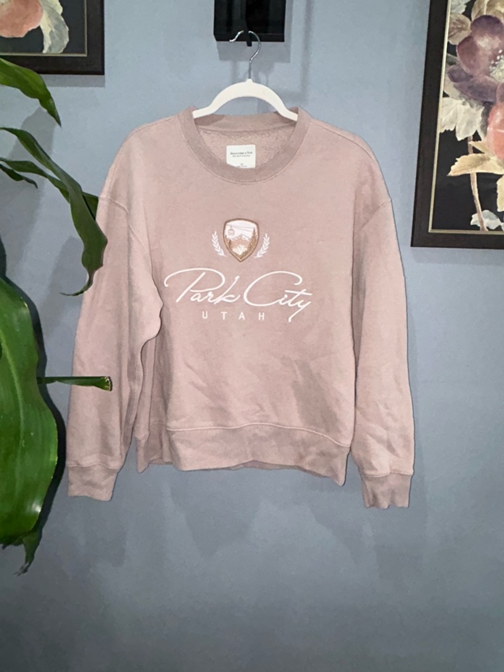 Absrcrombie and Fitch Park City Utah Crewneck Sweatshirt - Blush Pink XS